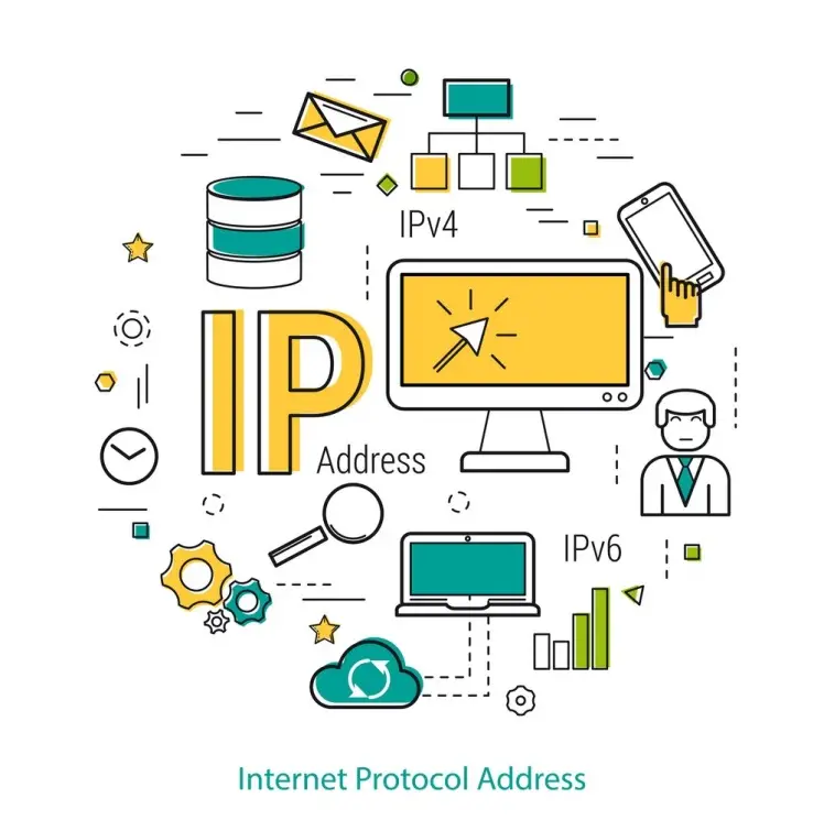 IP چیست؟